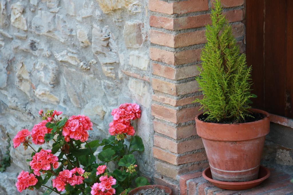 Borgo Fango Apartman Montieri Kültér fotó